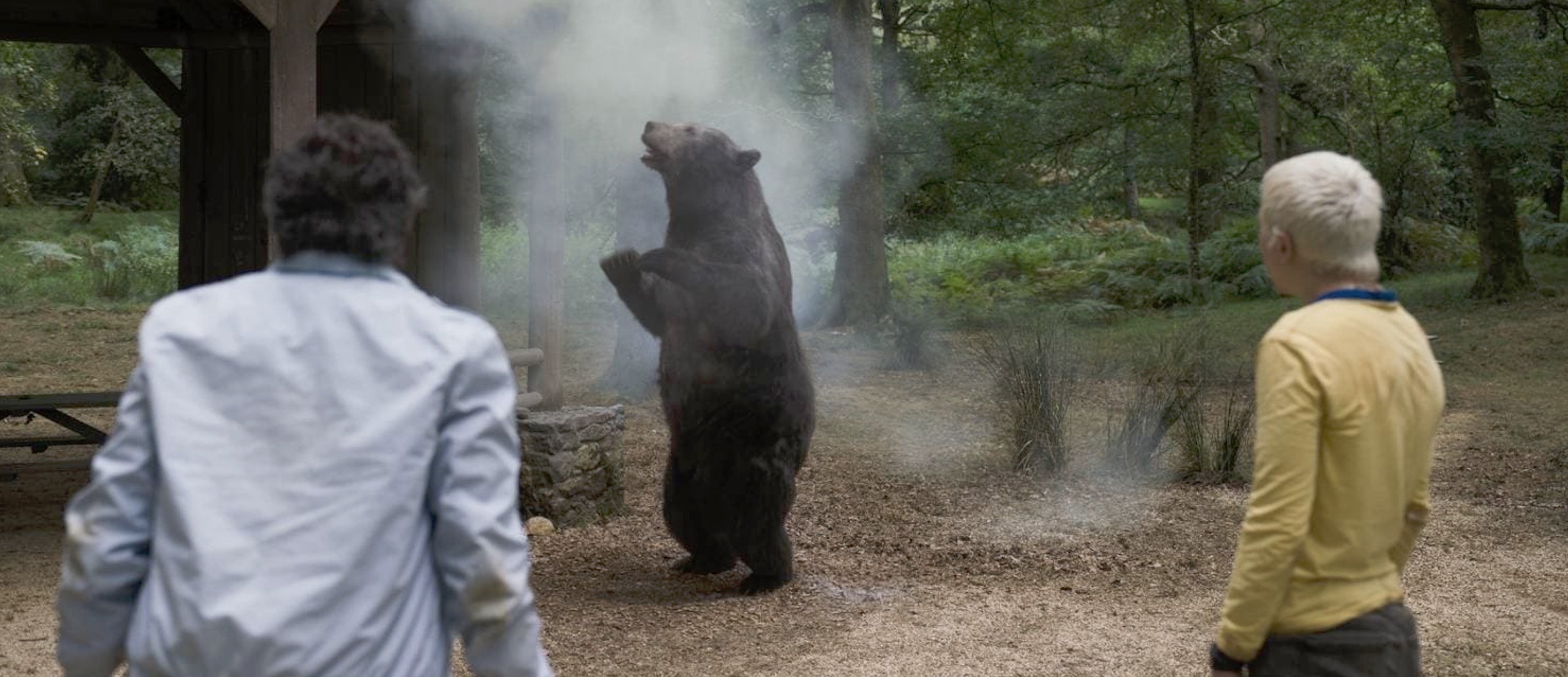 The Very Real Cocaine Bear Is Officiating A Kentucky Wedding
