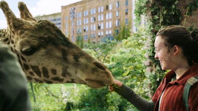 Yes, They Used A Real Giraffe For The Last Of Us Season 1 Finale