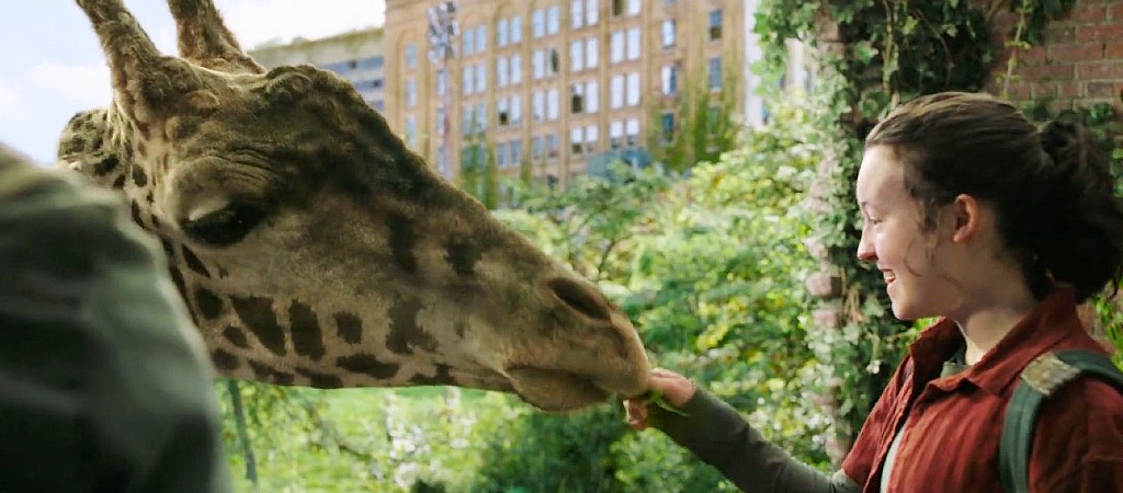 The Last of Us Giraffe real or cgi