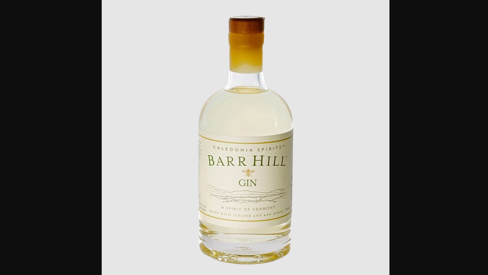 10 American Gins That Deserve More Love, Told By Bartenders
