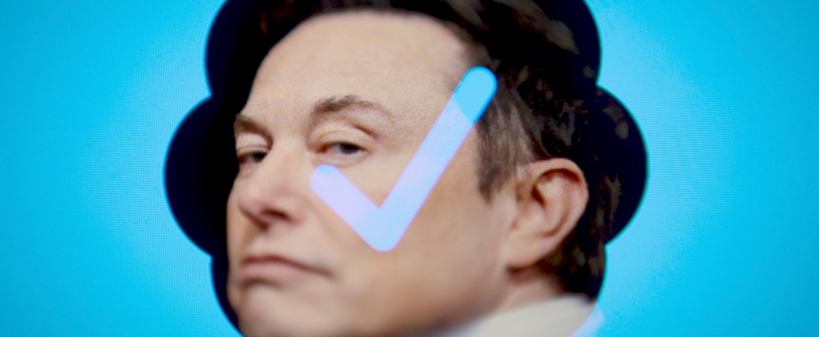Elon Musk Twitter Blue Checkmark Verified