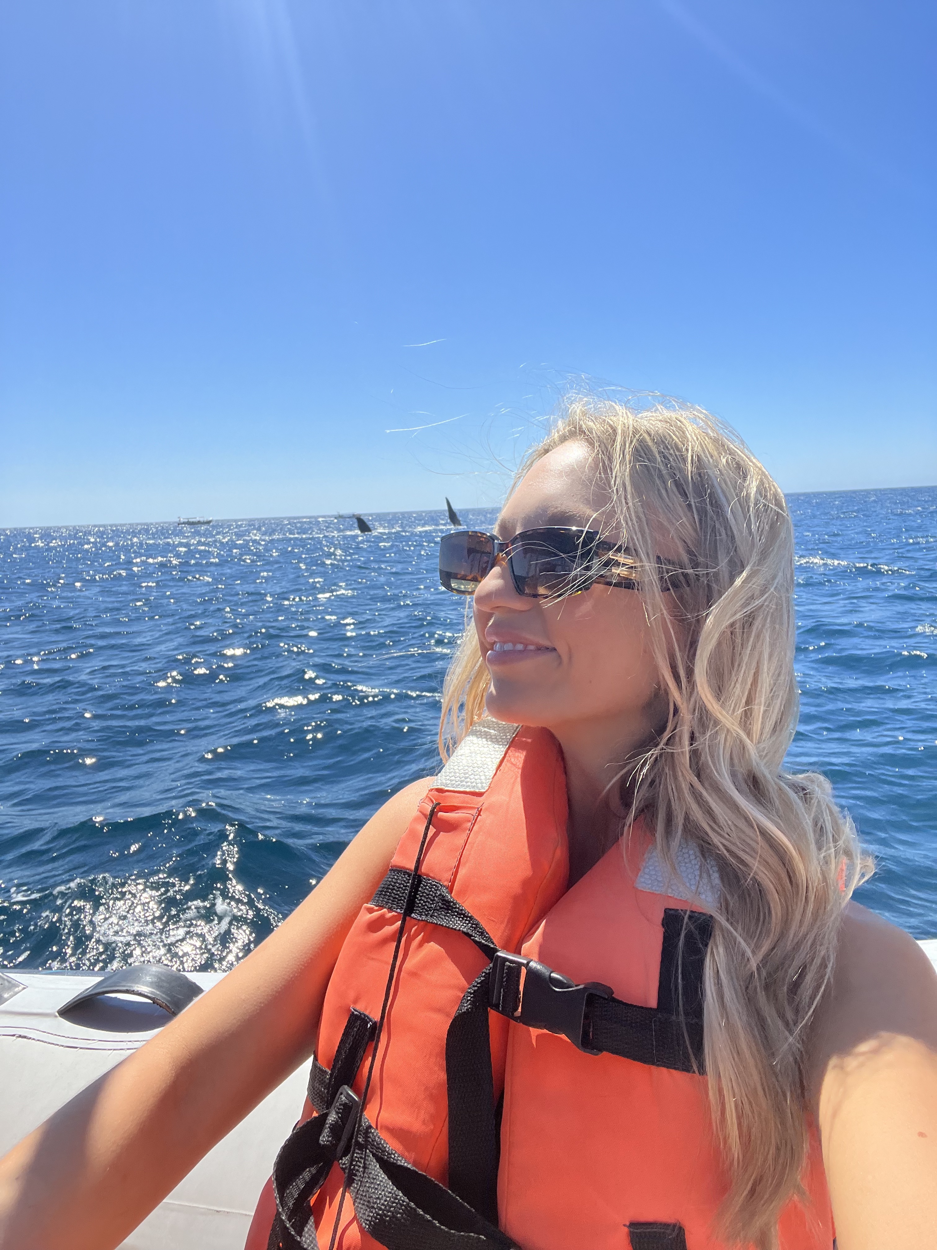 Cabo whale watching