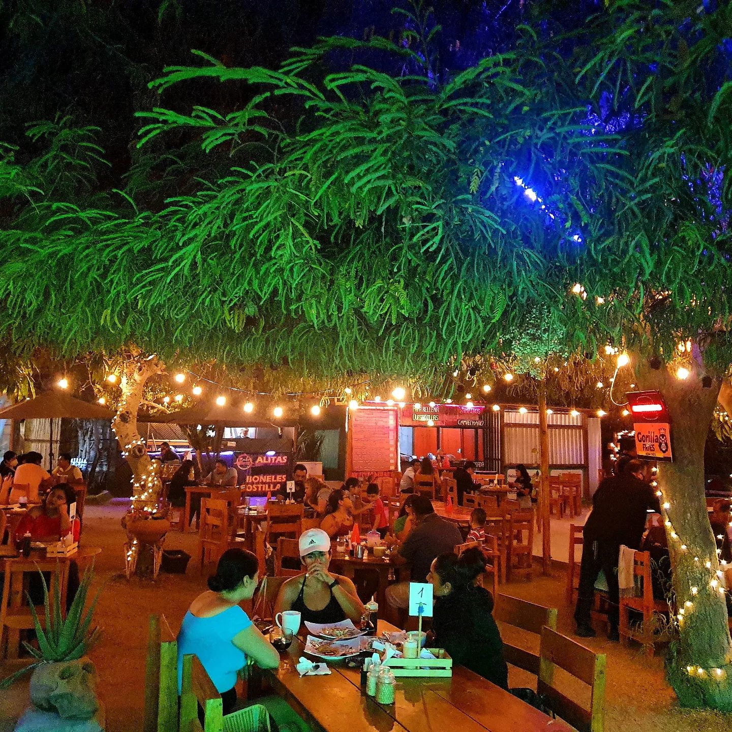 San Jose Del Cabo Food Truck Park