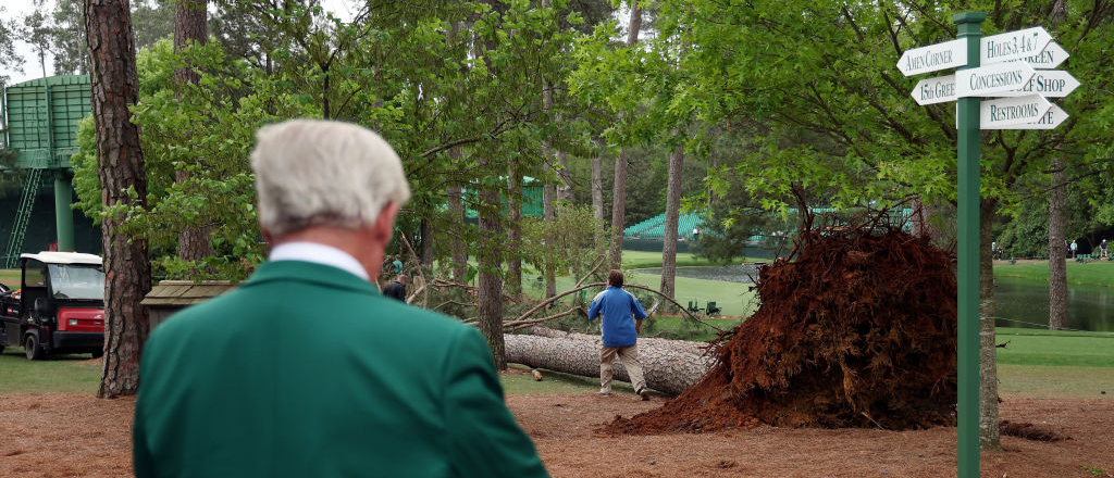 trees augusta national