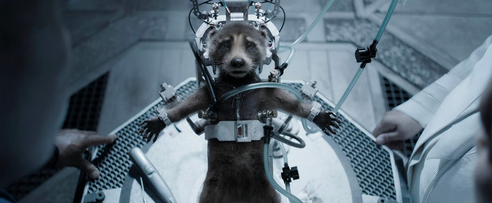 Bradley Cooper as Rocket Raccoon in 'Guardians of the Galaxy Vol. 3'on in