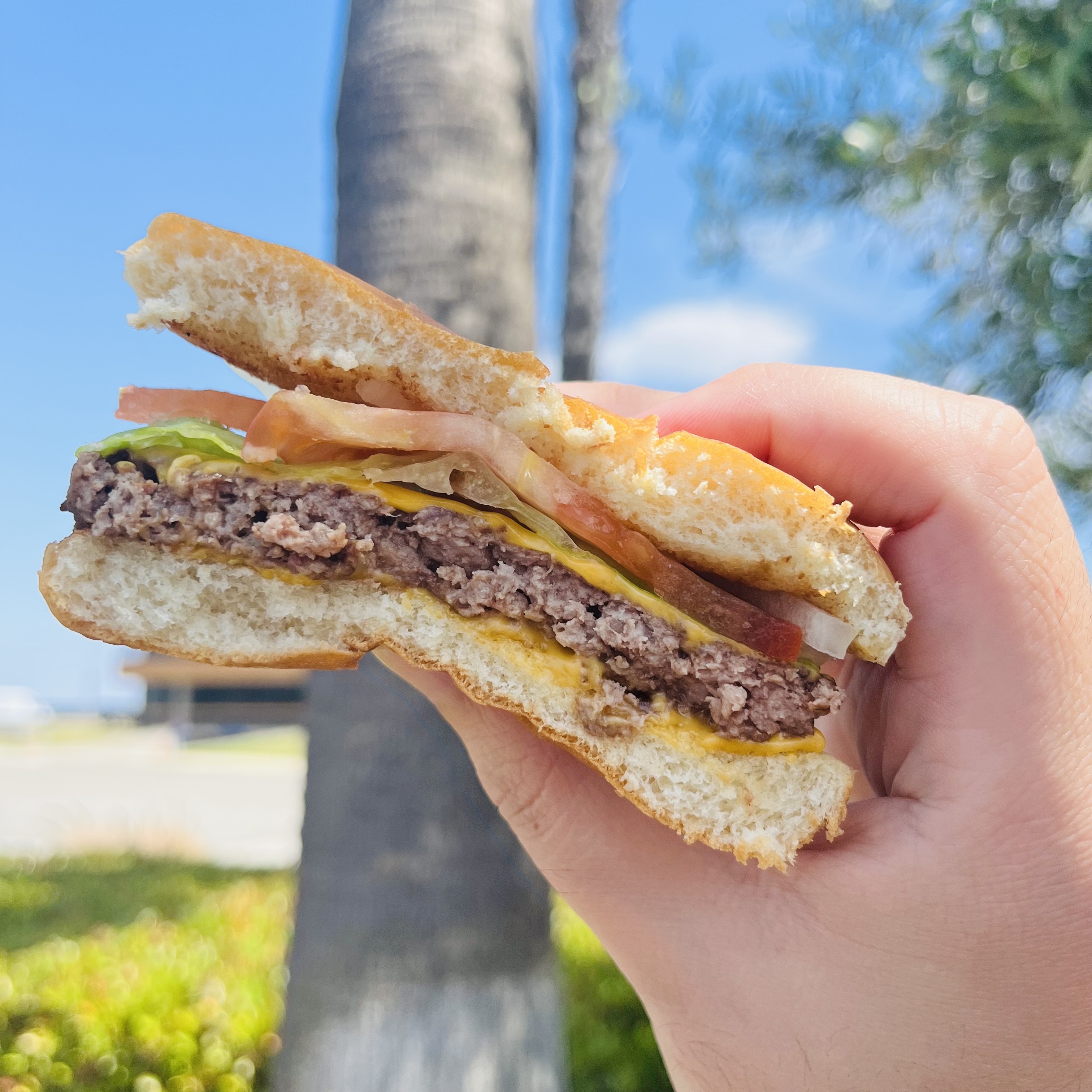 Single Cheeseburger Ranking