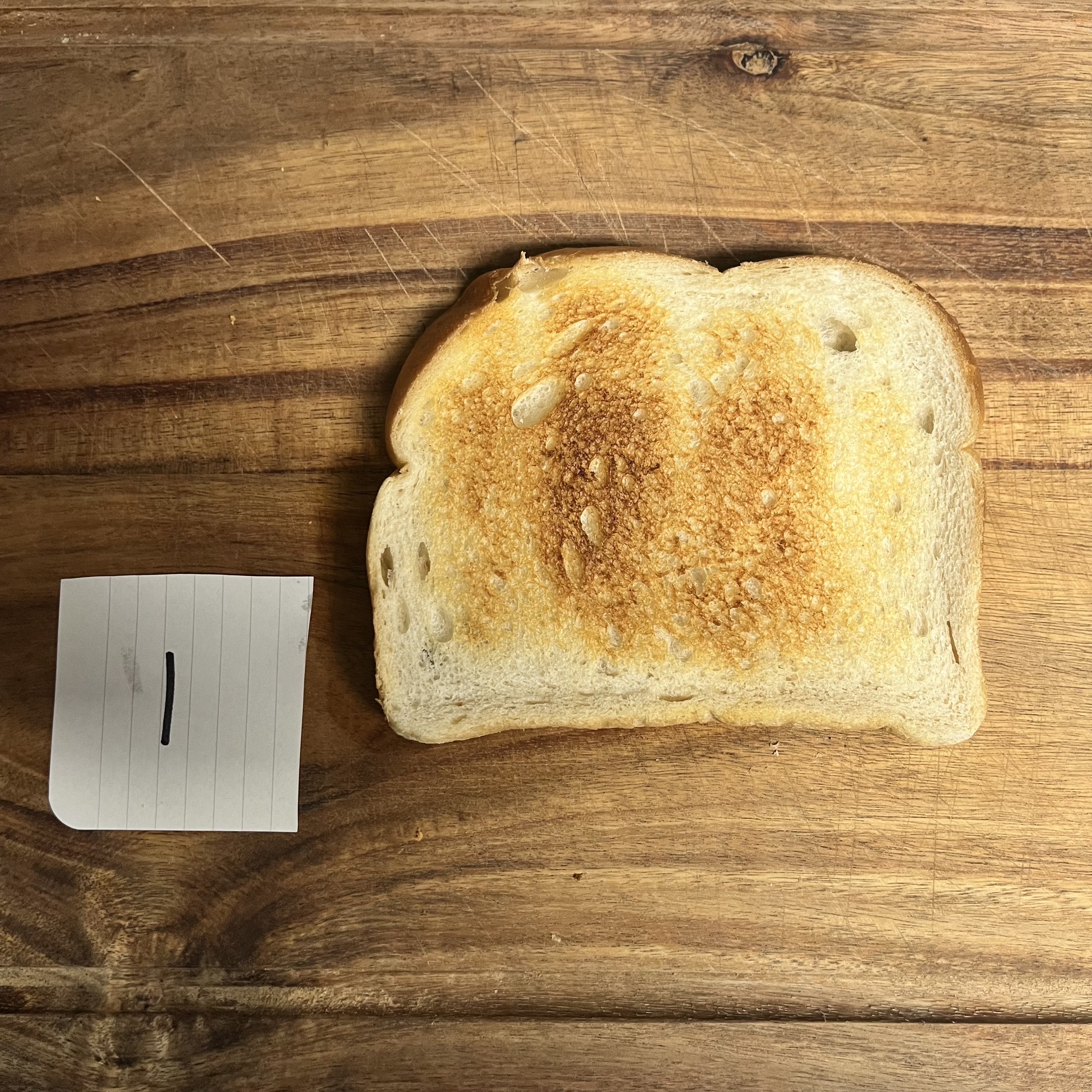 Sourdough Taste Test