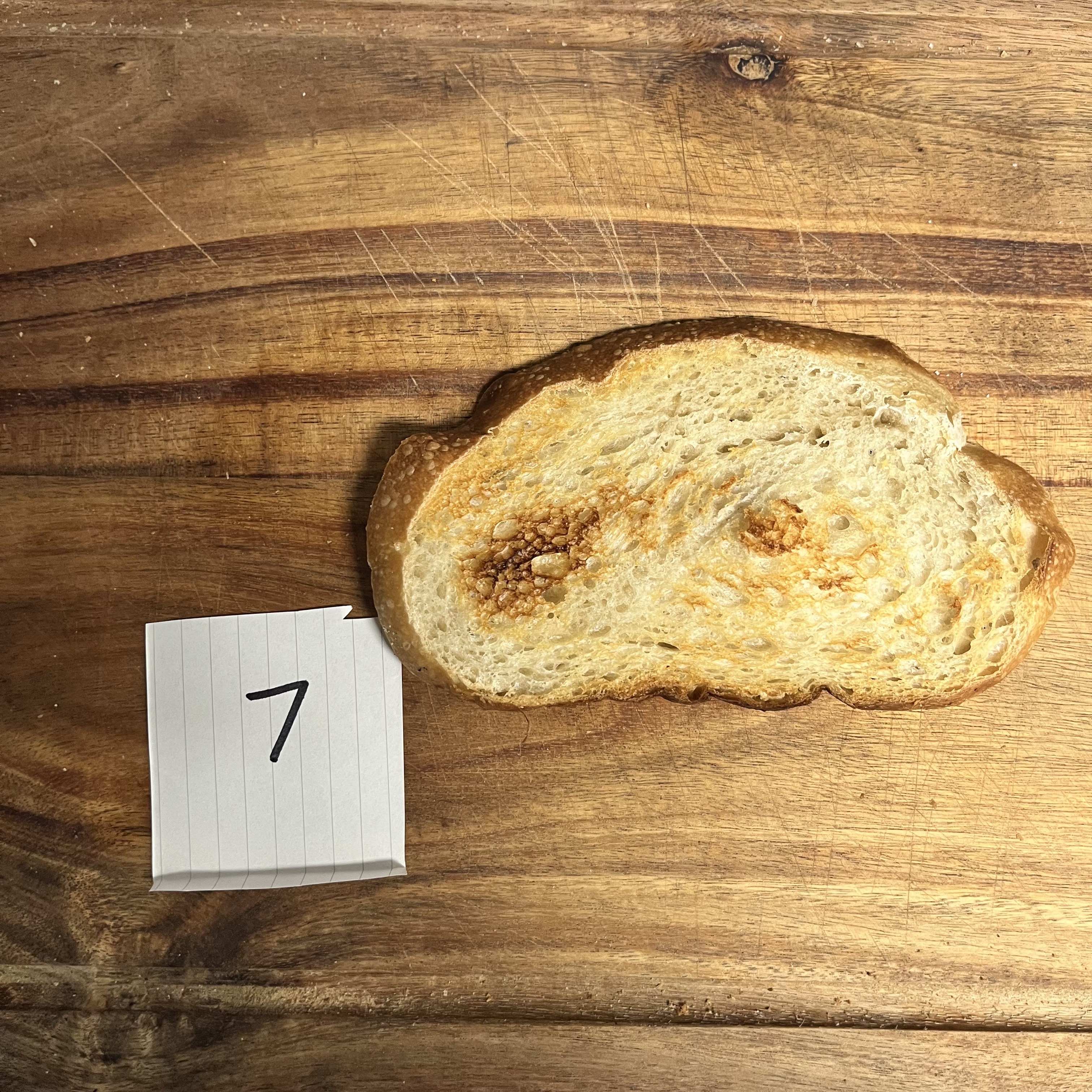 Sourdough Taste Test