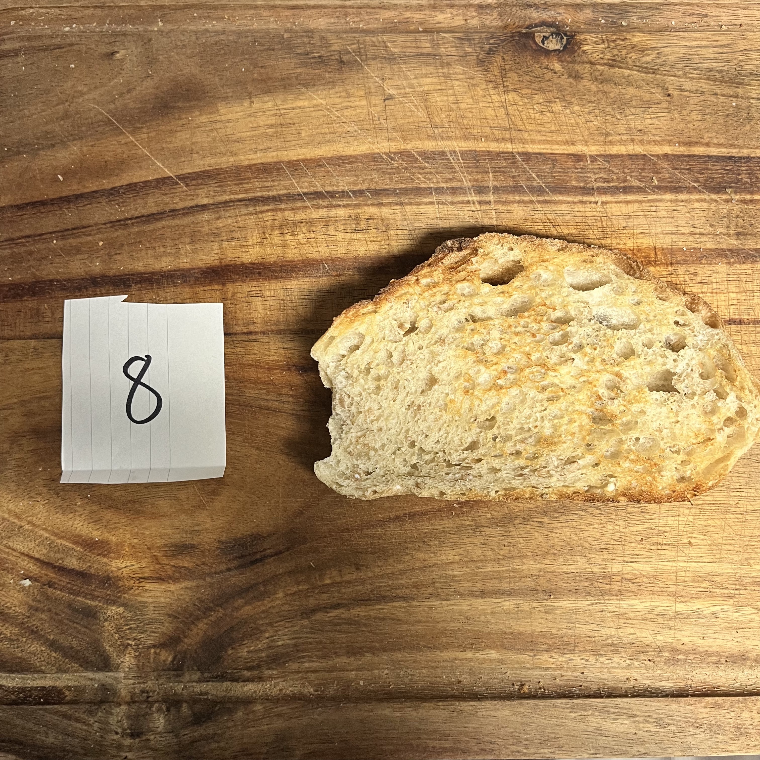 Sourdough Taste Test