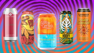 The 30 Best IPAs To Drink Right Now, Ranked