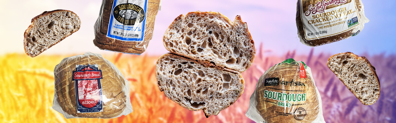 8 Best Store Bought Sourdough Loaves, Blind Tasted & Ranked