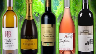 The Best Sustainable Wines For Eco (& Budget!)-Conscious Drinkers