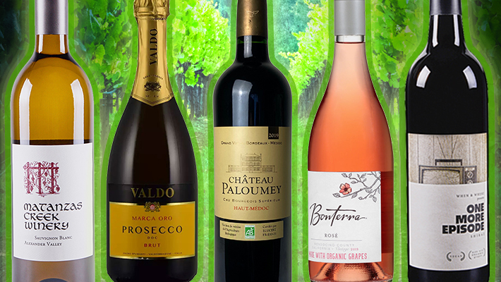 10 Best Organic, Biodynamic, And Sustainable Wines To Drink