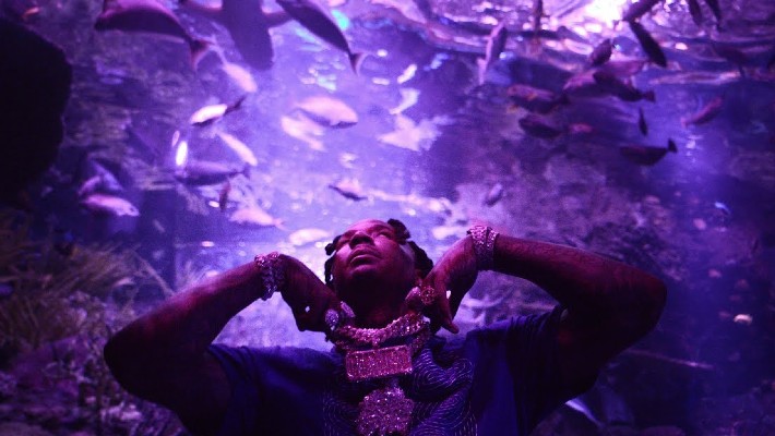 Moneybagg Yo Shares Her Vibrant Purple “Ocean Spray” Video