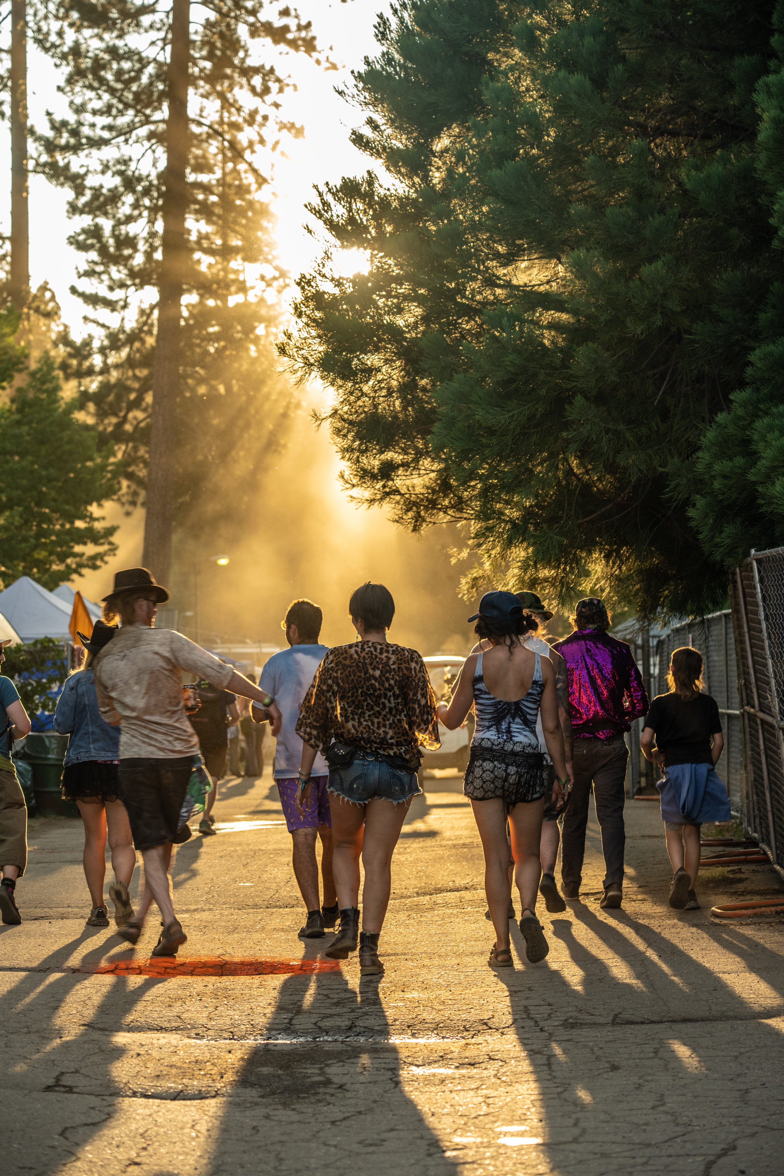 HIGH SIERRA MUSIC FESTIVAL
