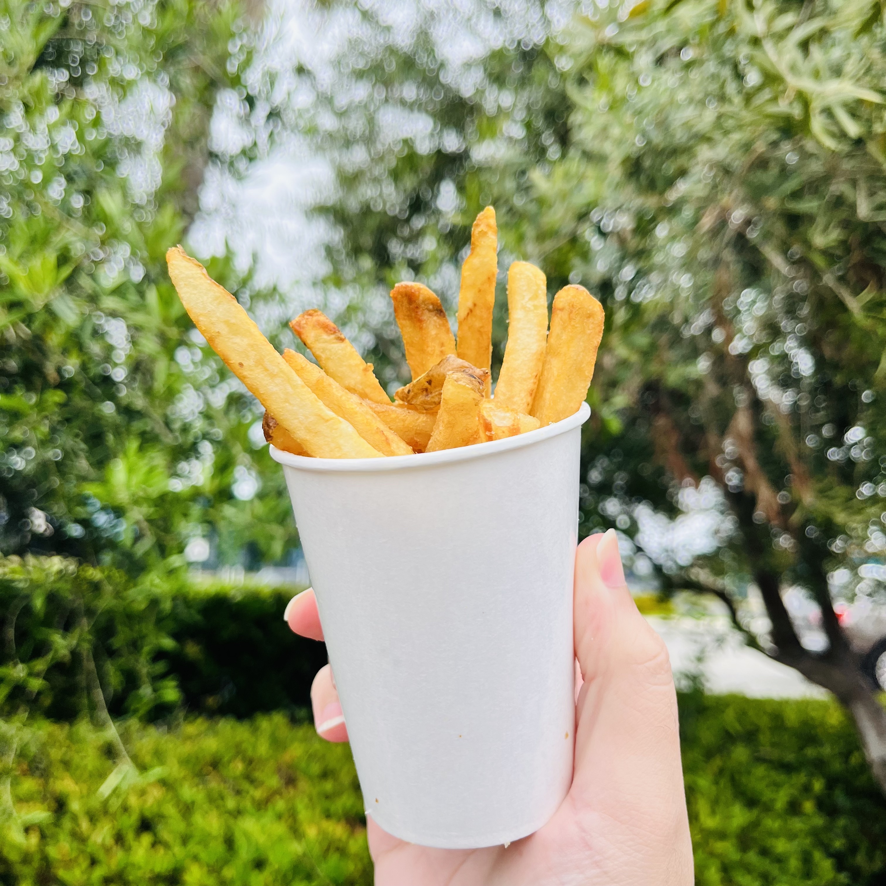 Fast Food French Fries