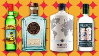 Bartenders Pick The Best Gins For A Summer Full Of Spanish Gin & Tonics