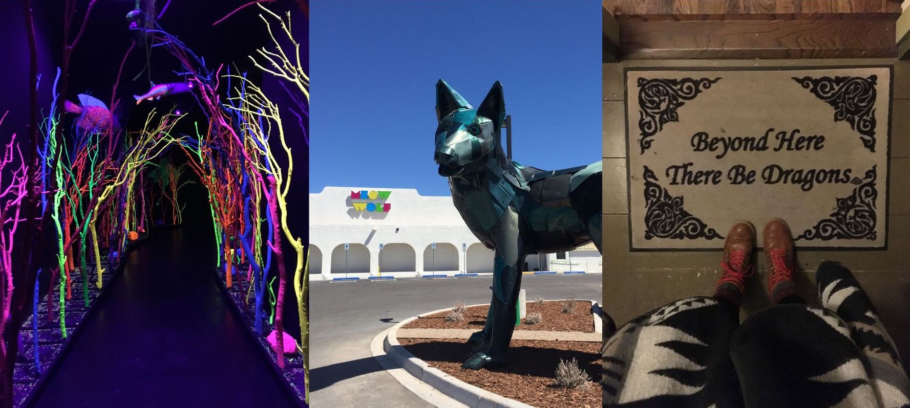 Meow Wolf