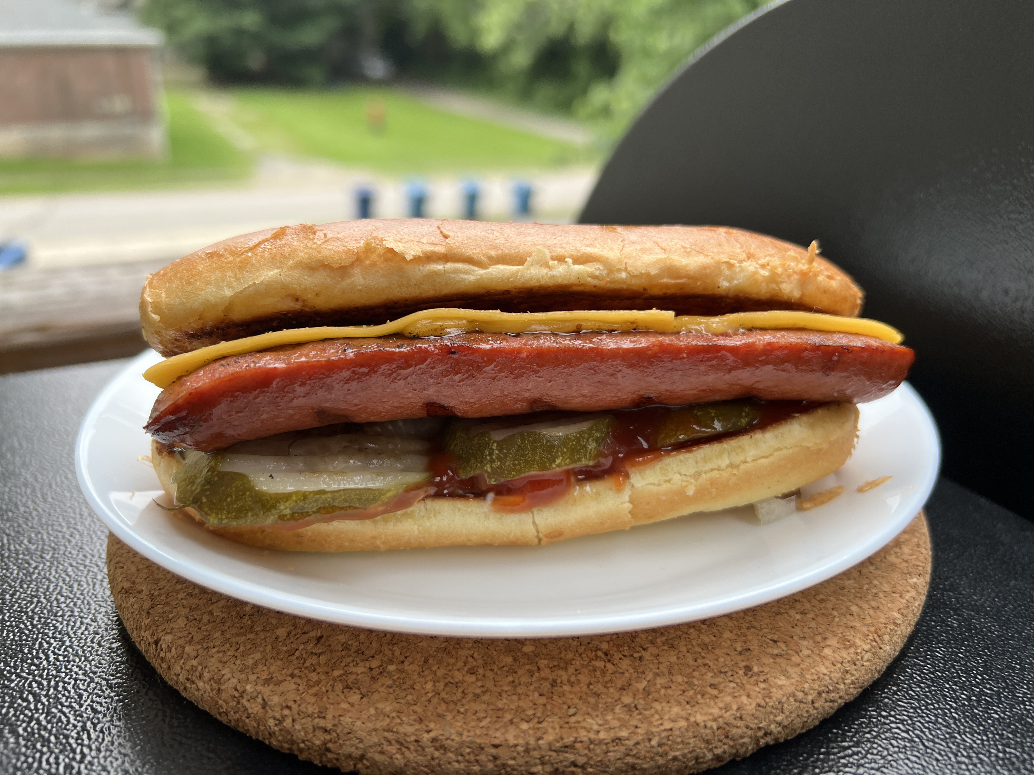 4th of July Hot Dog