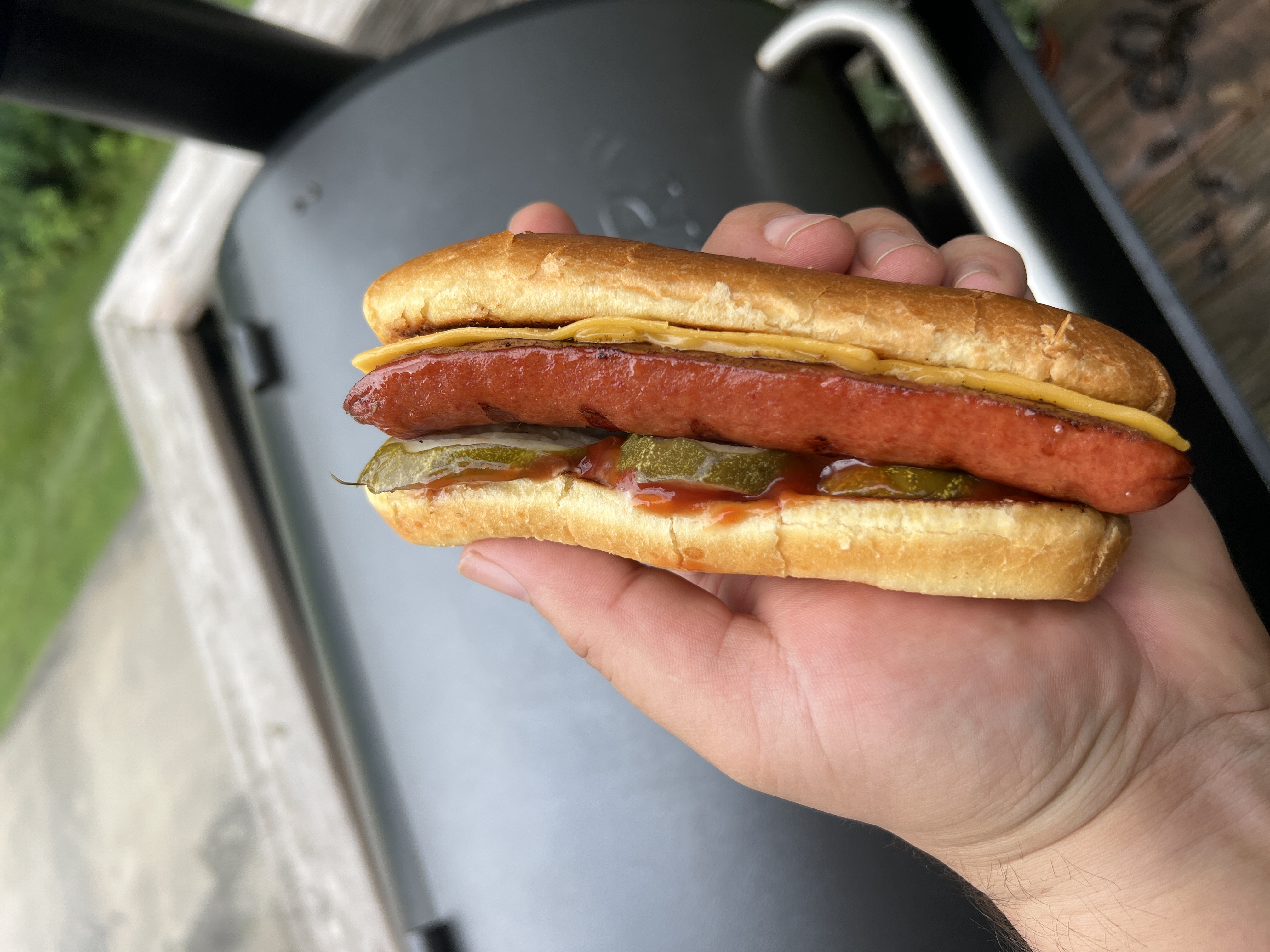 4th of July Hot Dog