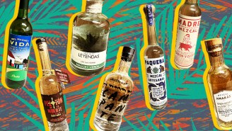 The Absolute Best Bottles Of Mezcal Under $50, Ranked
