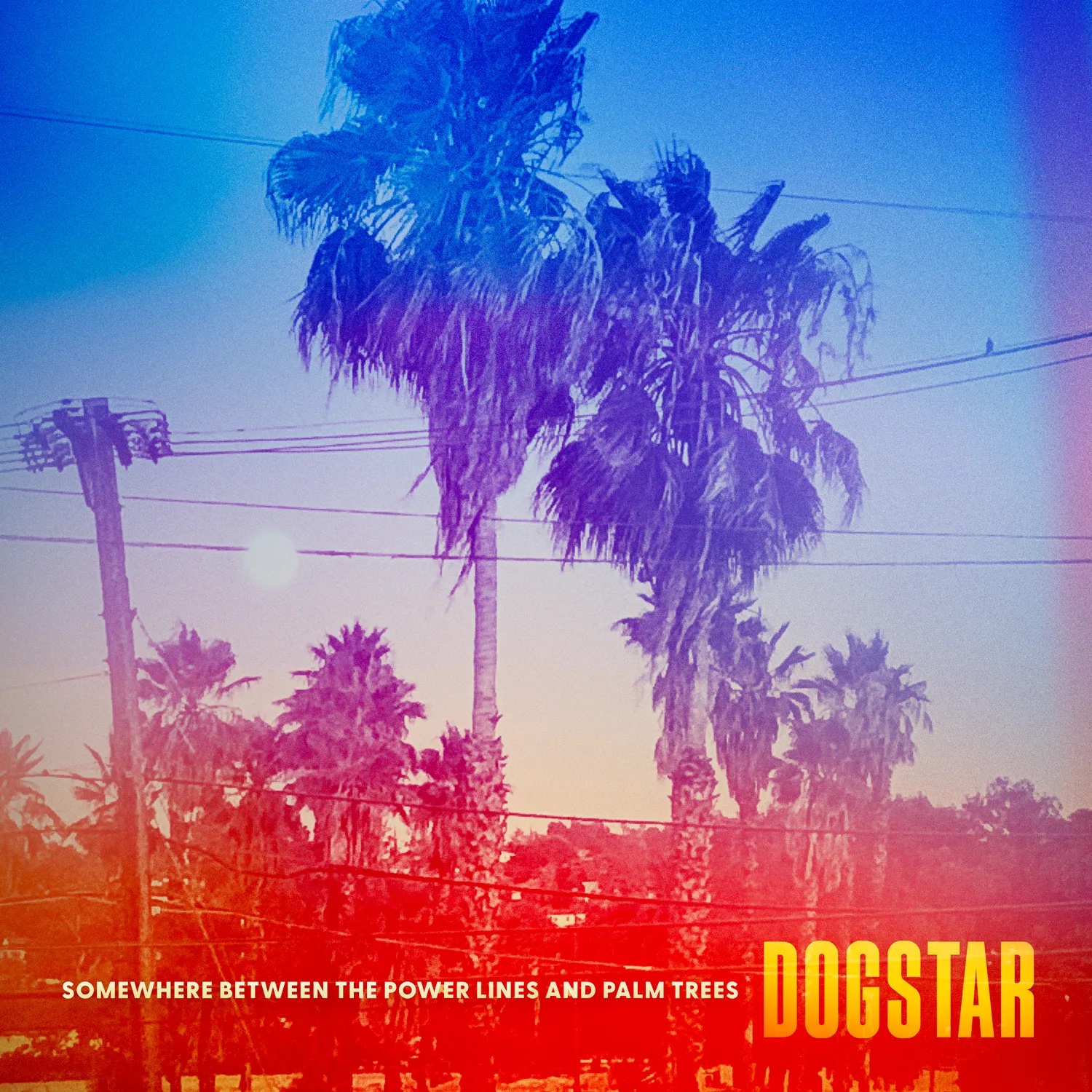 dogstar cover art 2023