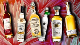 Tequilas Under $100 That Are Perfect For Sipping Straight