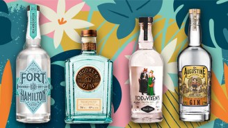 The Freshest-Tasting Gins To Finish Summer Strong, According To Bartenders