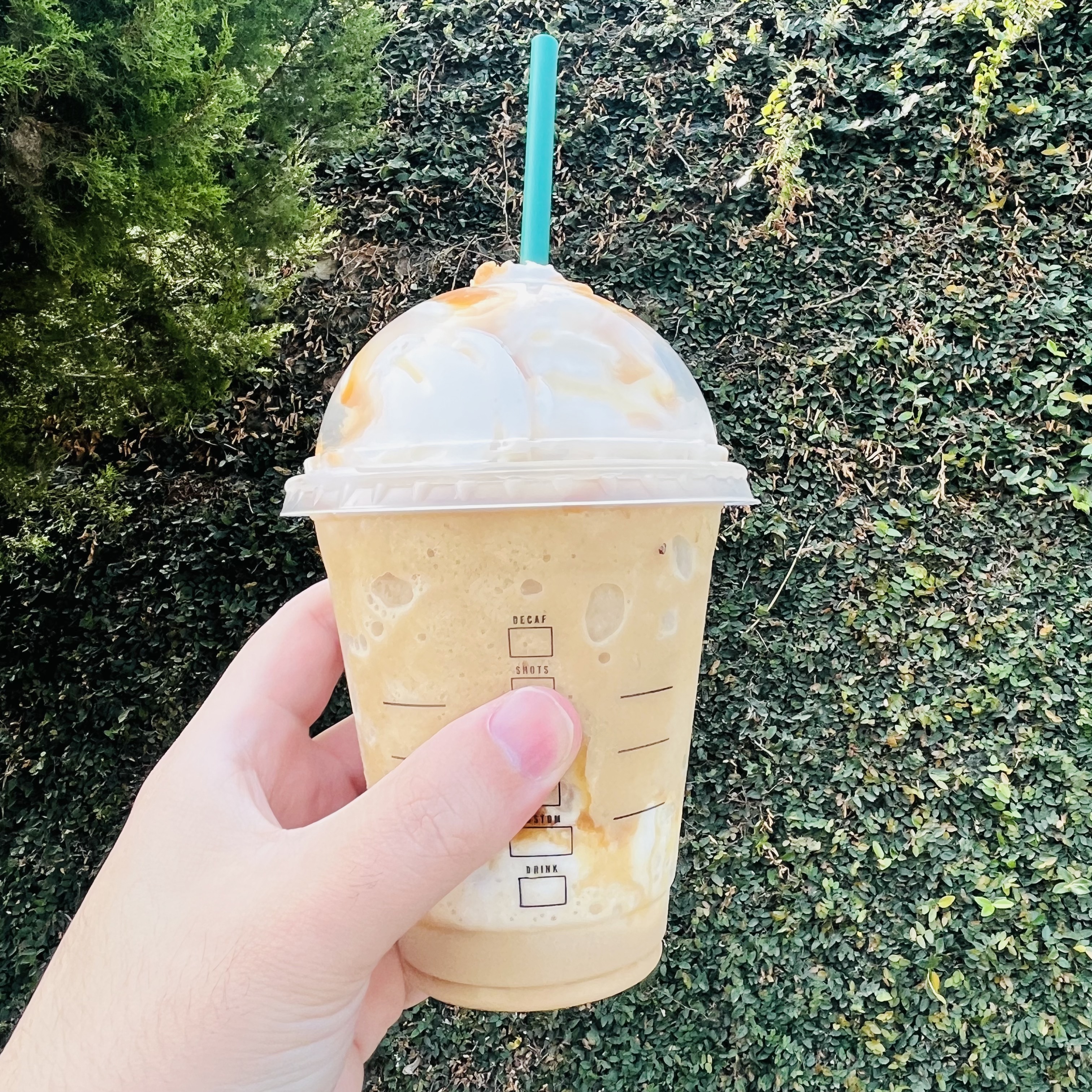 Starbucks Summer