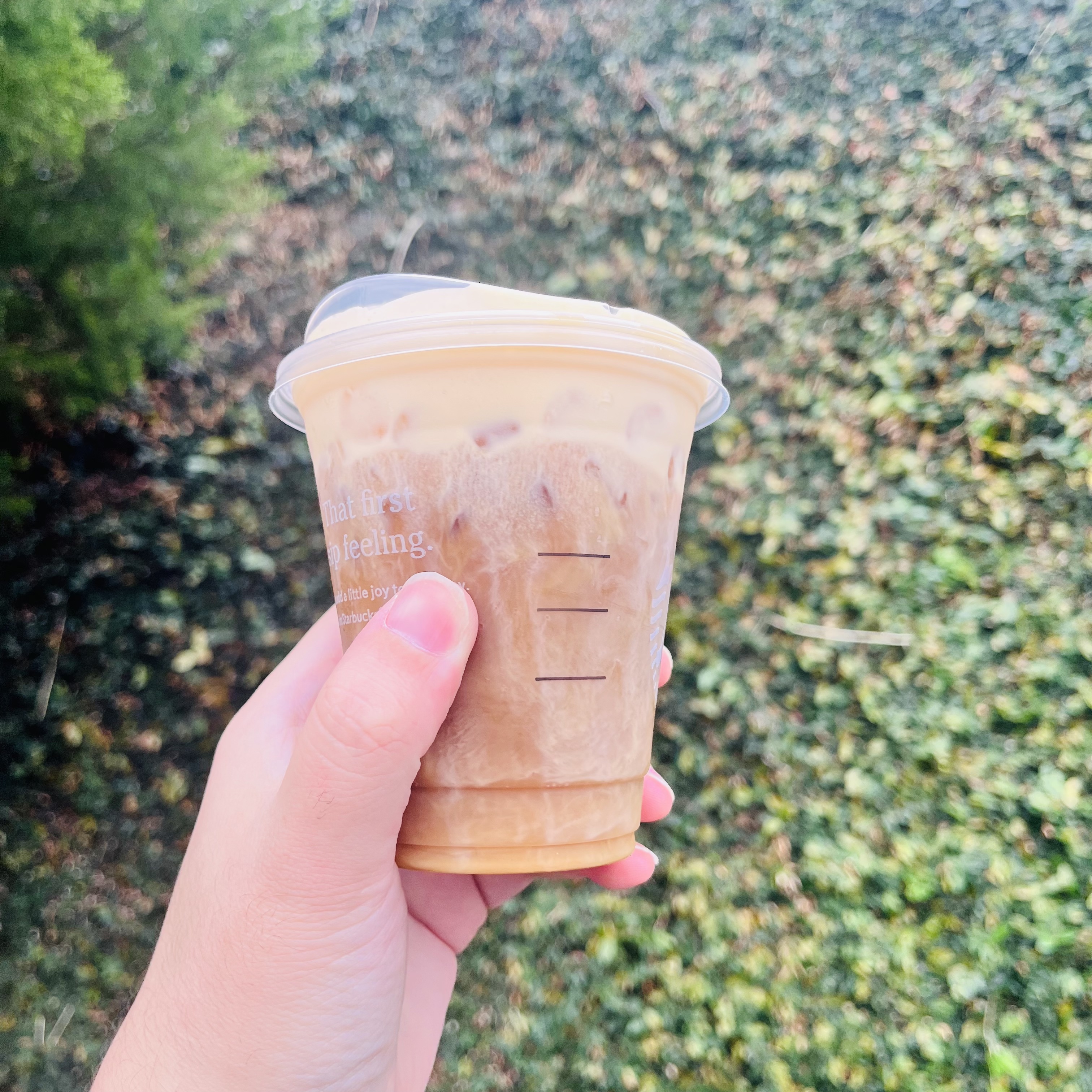 Starbucks Fall