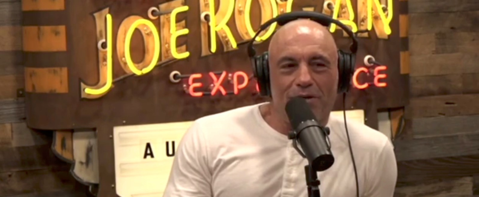 joe rogan