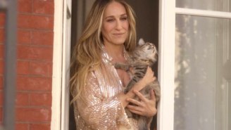 Sarah Jessica Parker Has Adopted Shoe The Kitten From ‘And Just Like That’