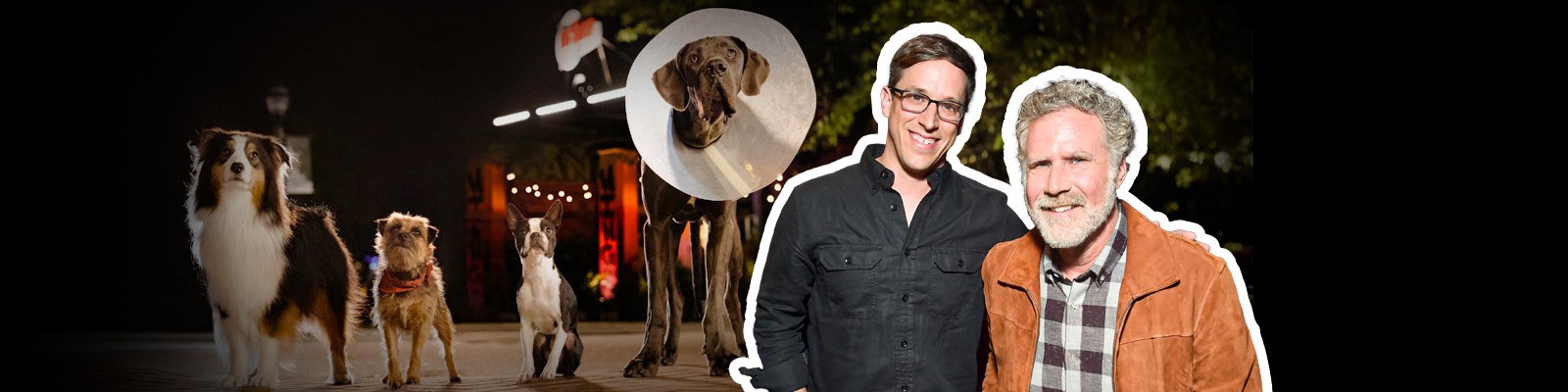 Josh Greenbaum On ‘Strays,’ A Movie About A Dog Who Wants To Bite Off Will Forte’s Penis