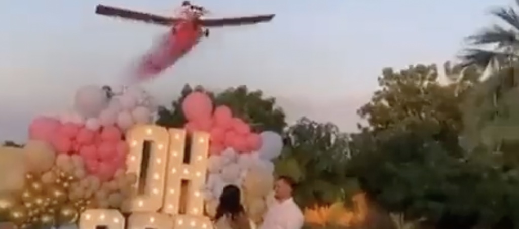 gender reveal plane crash