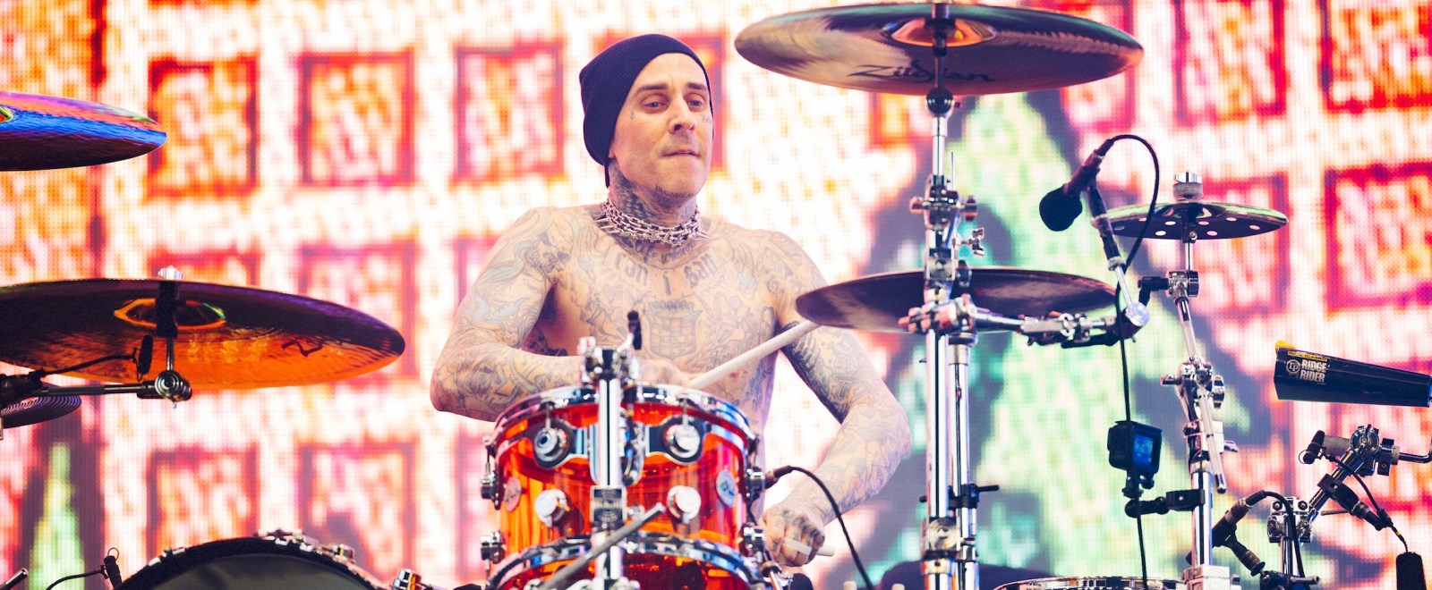 travis