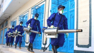 What You Need To Know About The Chikungunya Virus