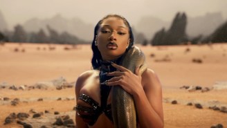 Who Is Megan Thee Stallion’s ‘Cobra’ About?