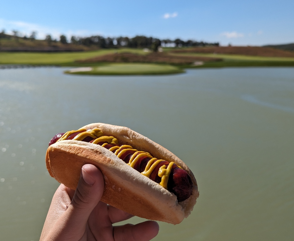 Bison Dog