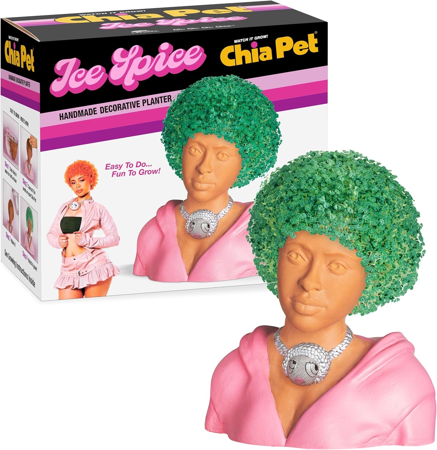 How To Buy The Ice Spice Chia Pet