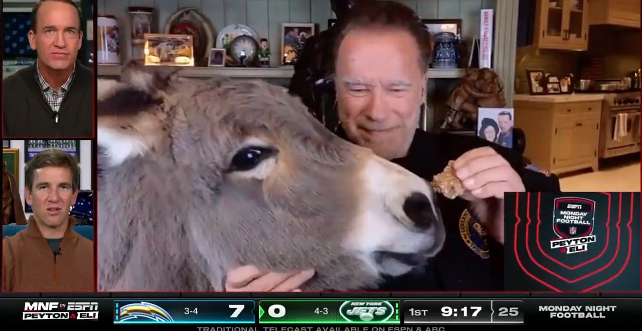 arnold schwarzenegger donkey manningcast