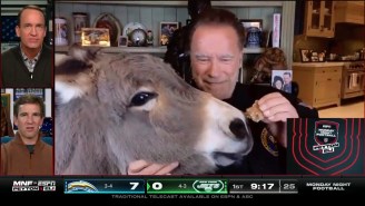 Arnold Schwarzenegger Fed A Donkey During His ManningCast Appearance