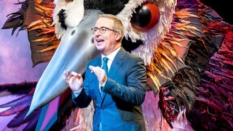 John Oliver And His ‘Bird Of The Year’ Chaos Are Throwing New Zealand Into Delightful Disarray: ‘Crazy In The Best Possible Way’