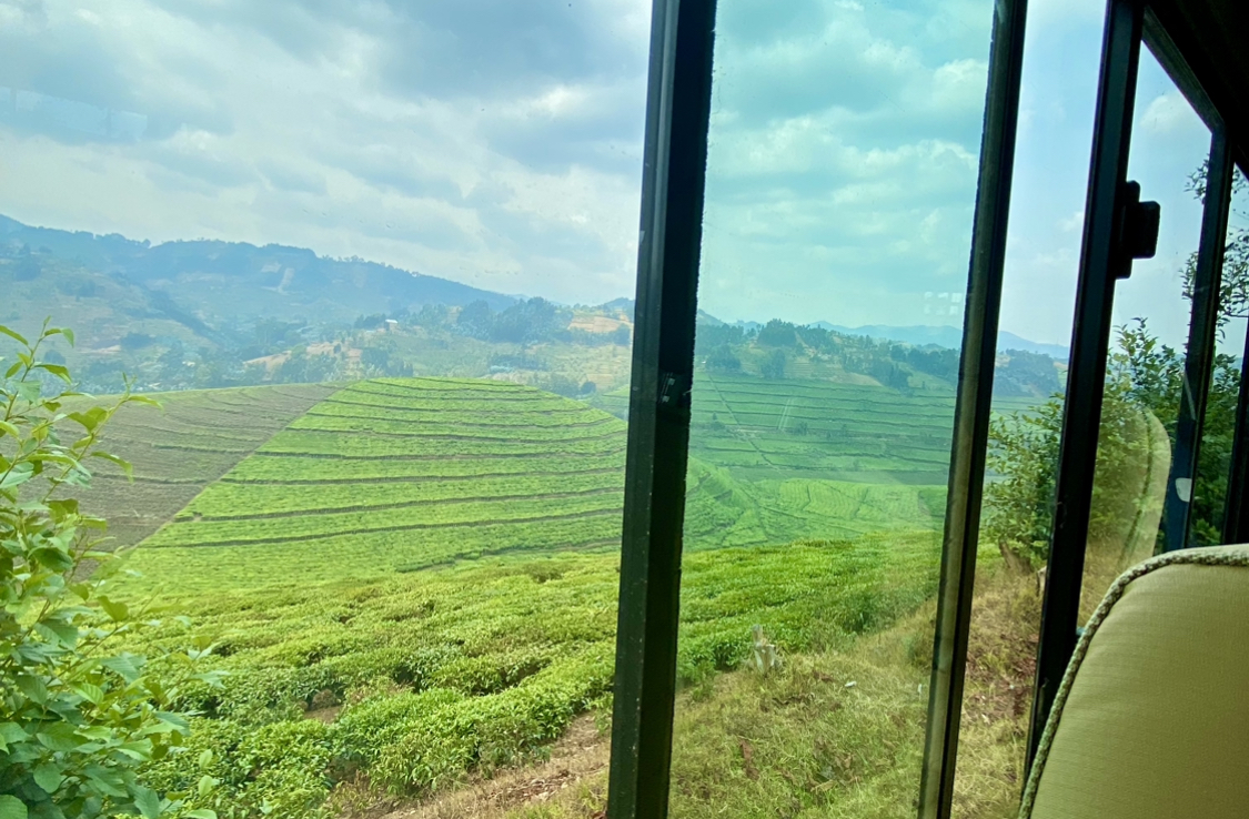 RWANDA hillside