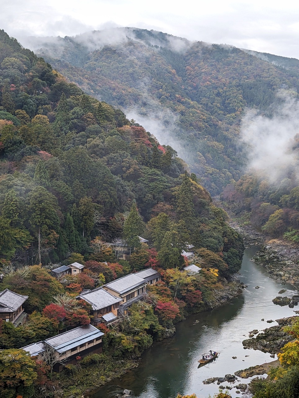 Japan 2023 Arashiyama Bamboo Park