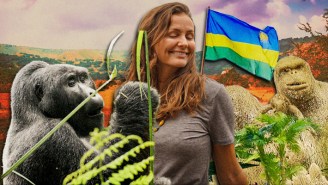 Gorilla Trekking, Safaris, And The Trip Of A Lifetime: A First Timer’s Guide To Rwanda, Africa