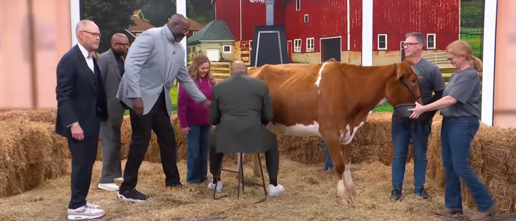 inside the nba cow