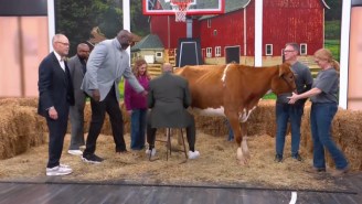 The ‘Inside The NBA’ Crew Learned How To Milk A Cow