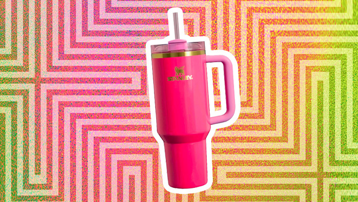 Introducing the new Pink Parade stanley 40oz tumbler!! I am
