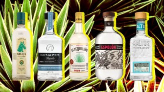 The Absolute Best Bottles Of Tequila Under $30, Ranked