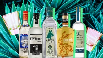 The Absolute Best Bottles Of Tequila For Taking Shots, Ranked